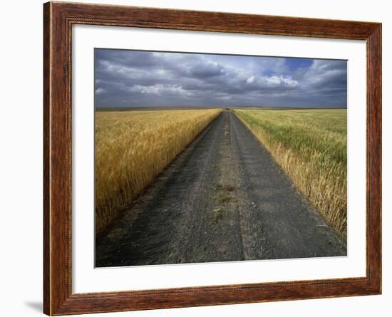 Gravel Road Passing Through Wheat Field-Darrell Gulin-Framed Photographic Print