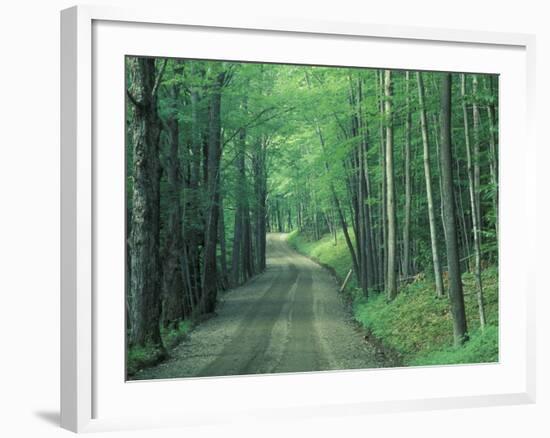 Gravel Road Through Maple Grove, Green Mountains, Vermont, USA-Darrell Gulin-Framed Photographic Print