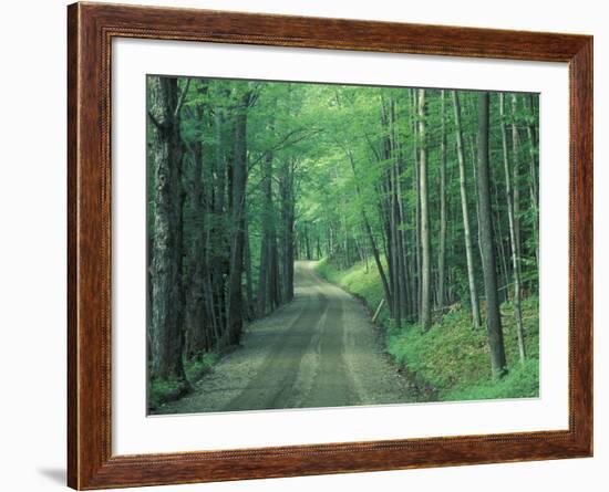 Gravel Road Through Maple Grove, Green Mountains, Vermont, USA-Darrell Gulin-Framed Photographic Print