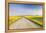 Gravel Road to West Rainy Butte, Canola Near New England, North Dakota, USA-Chuck Haney-Framed Premier Image Canvas