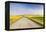 Gravel Road to West Rainy Butte, Canola Near New England, North Dakota, USA-Chuck Haney-Framed Premier Image Canvas