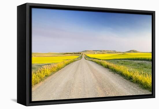 Gravel Road to West Rainy Butte, Canola Near New England, North Dakota, USA-Chuck Haney-Framed Premier Image Canvas