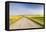 Gravel Road to West Rainy Butte, Canola Near New England, North Dakota, USA-Chuck Haney-Framed Premier Image Canvas