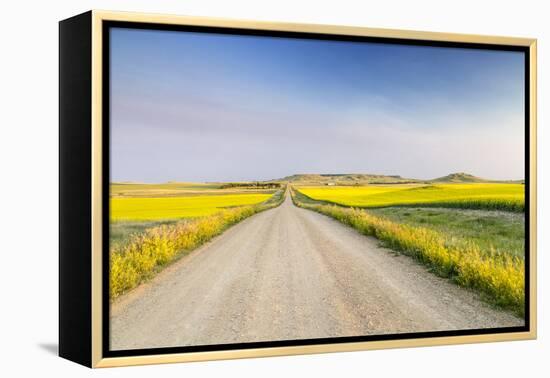 Gravel Road to West Rainy Butte, Canola Near New England, North Dakota, USA-Chuck Haney-Framed Premier Image Canvas