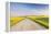 Gravel Road to West Rainy Butte, Canola Near New England, North Dakota, USA-Chuck Haney-Framed Premier Image Canvas