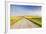 Gravel Road to West Rainy Butte, Canola Near New England, North Dakota, USA-Chuck Haney-Framed Photographic Print