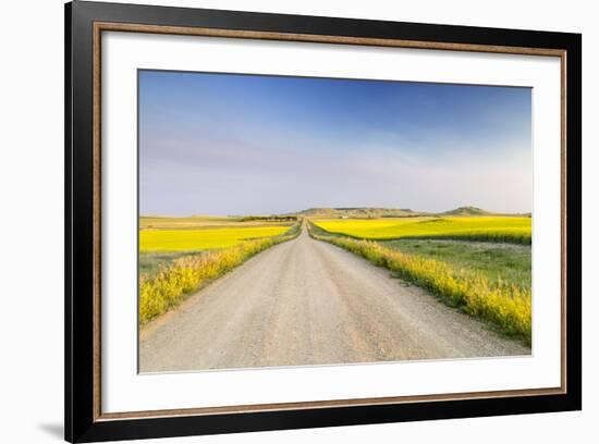 Gravel Road to West Rainy Butte, Canola Near New England, North Dakota, USA-Chuck Haney-Framed Photographic Print