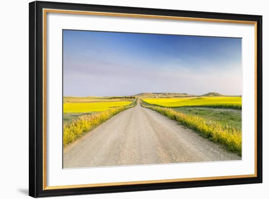 Gravel Road to West Rainy Butte, Canola Near New England, North Dakota, USA-Chuck Haney-Framed Photographic Print