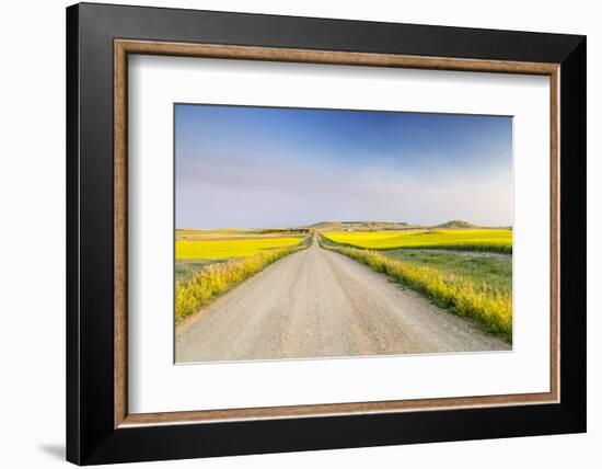 Gravel Road to West Rainy Butte, Canola Near New England, North Dakota, USA-Chuck Haney-Framed Photographic Print