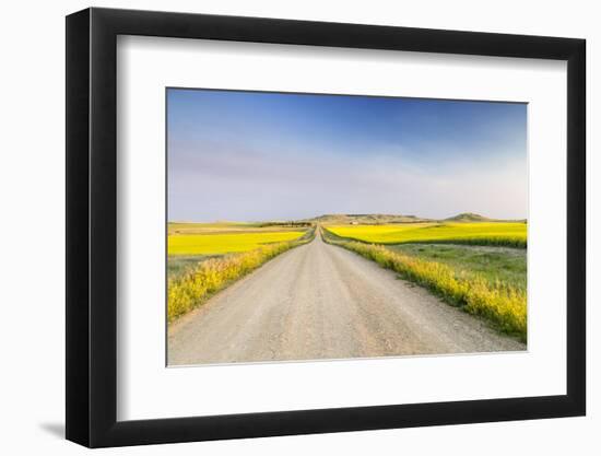 Gravel Road to West Rainy Butte, Canola Near New England, North Dakota, USA-Chuck Haney-Framed Photographic Print