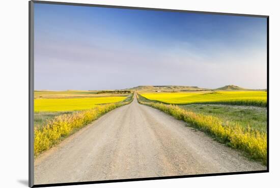 Gravel Road to West Rainy Butte, Canola Near New England, North Dakota, USA-Chuck Haney-Mounted Photographic Print