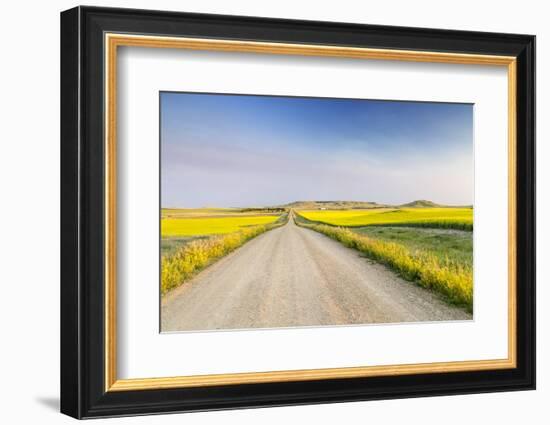 Gravel Road to West Rainy Butte, Canola Near New England, North Dakota, USA-Chuck Haney-Framed Photographic Print