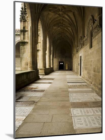 Graves in the Cloisters of Santiago Cathedral, Santiago De Compostela, Galicia, Spain-R H Productions-Mounted Photographic Print