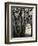 Gravestone and Trees, High Sierra, 1950-Brett Weston-Framed Photographic Print