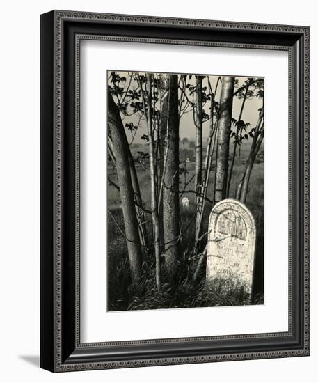 Gravestone and Trees, High Sierra, 1950-Brett Weston-Framed Photographic Print