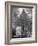 Gravestone of James Butler Hickok with Statue Behind-Alfred Eisenstaedt-Framed Photographic Print