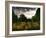 Gravestones at Cathays Cemetery, Cardiff Wales-Clive Nolan-Framed Photographic Print