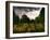 Gravestones at Cathays Cemetery, Cardiff Wales-Clive Nolan-Framed Photographic Print