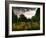 Gravestones at Cathays Cemetery, Cardiff Wales-Clive Nolan-Framed Photographic Print