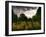 Gravestones at Cathays Cemetery, Cardiff Wales-Clive Nolan-Framed Photographic Print