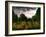 Gravestones at Cathays Cemetery, Cardiff Wales-Clive Nolan-Framed Photographic Print