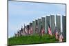 Gravestones Decorated with U.S. Flags to Commemorate Memorial Day at the Arlington National Cemeter-1photo-Mounted Photographic Print
