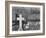 Graveyard and steel mill in Bethlehem, Pennsylvania, 1935-Walker Evans-Framed Photographic Print