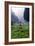 Graveyard in England in Winter-David Baker-Framed Photographic Print