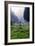 Graveyard in England in Winter-David Baker-Framed Photographic Print