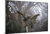 Graveyard in England in Winter-David Baker-Mounted Photographic Print