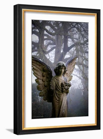 Graveyard in England in Winter-David Baker-Framed Photographic Print