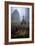 Graveyard in England in Winter-David Baker-Framed Photographic Print