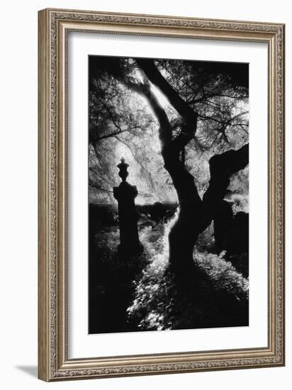 Graveyard, Nevern, Pembrokeshire, Wales-Simon Marsden-Framed Giclee Print