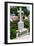 Graveyard of Karavados Church, Kefalonia, Greece-Peter Thompson-Framed Photographic Print