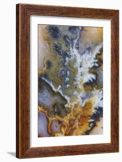 Graveyard Plume Agate, Oregon-Darrell Gulin-Framed Photographic Print