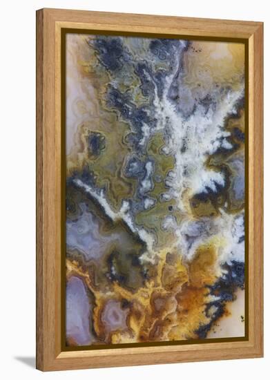 Graveyard Plume Agate, Oregon-Darrell Gulin-Framed Premier Image Canvas