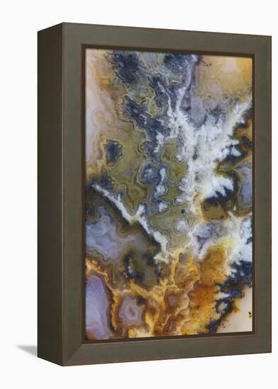 Graveyard Plume Agate, Oregon-Darrell Gulin-Framed Premier Image Canvas