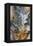 Graveyard Plume Agate, Oregon-Darrell Gulin-Framed Premier Image Canvas