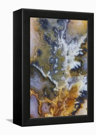 Graveyard Plume Agate, Oregon-Darrell Gulin-Framed Premier Image Canvas