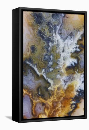 Graveyard Plume Agate, Oregon-Darrell Gulin-Framed Premier Image Canvas