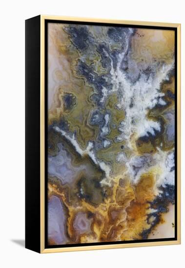 Graveyard Plume Agate, Oregon-Darrell Gulin-Framed Premier Image Canvas