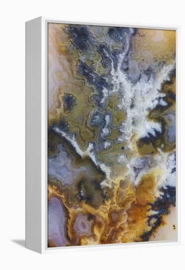 Graveyard Plume Agate, Oregon-Darrell Gulin-Framed Premier Image Canvas