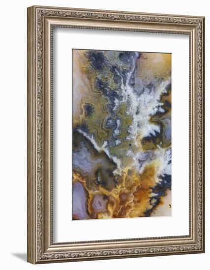 Graveyard Plume Agate, Oregon-Darrell Gulin-Framed Photographic Print