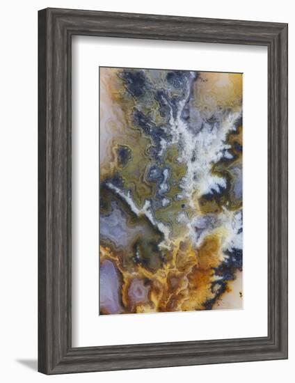 Graveyard Plume Agate, Oregon-Darrell Gulin-Framed Photographic Print