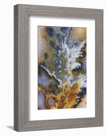 Graveyard Plume Agate, Oregon-Darrell Gulin-Framed Photographic Print