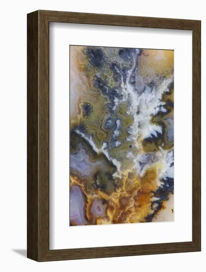 Graveyard Plume Agate, Oregon-Darrell Gulin-Framed Photographic Print