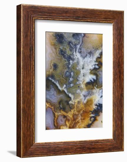 Graveyard Plume Agate, Oregon-Darrell Gulin-Framed Photographic Print