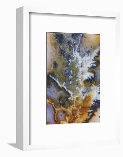 Graveyard Plume Agate, Oregon-Darrell Gulin-Framed Photographic Print