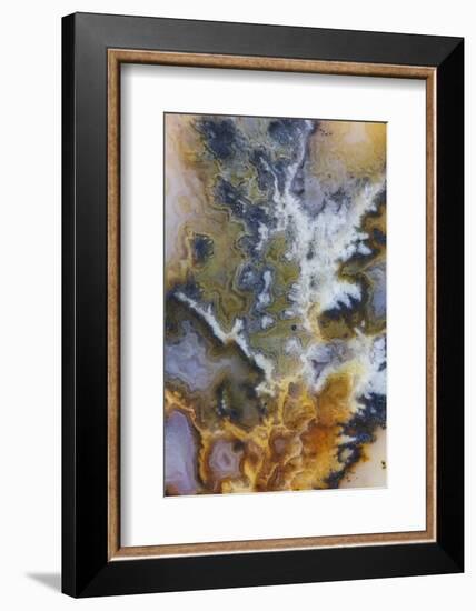 Graveyard Plume Agate, Oregon-Darrell Gulin-Framed Photographic Print