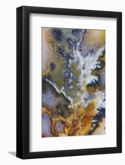 Graveyard Plume Agate, Oregon-Darrell Gulin-Framed Photographic Print